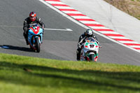 Oulton-Park-20th-March-2020;PJ-Motorsport-Photography-2020;anglesey;brands-hatch;cadwell-park;croft;donington-park;enduro-digital-images;event-digital-images;eventdigitalimages;mallory;no-limits;oulton-park;peter-wileman-photography;racing-digital-images;silverstone;snetterton;trackday-digital-images;trackday-photos;vmcc-banbury-run;welsh-2-day-enduro